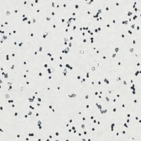 Forbo Sphera EC - Bahnenware - 450000 white Forbo Sphera EC - Bahnenware - 450000 white