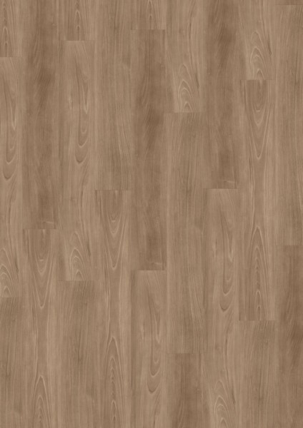 Expona Commercial - Farbe 4213 Carmel Ash