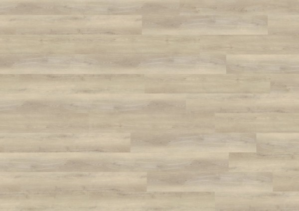 wineo 800 wood XL - DB830WXL Dalen Oak Lightgrey