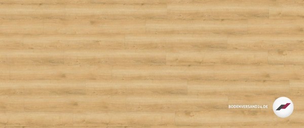 Wineo 800 wood Wheat Golden Oak Designplanken zum Kleben