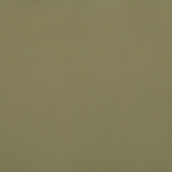 Gerflor DLW Uni Walton NEOCARE™ - 0090 Olive Linoleum Bahnware 2,5 mm