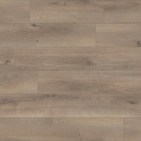 Kaindl NATURAL TOUCH 8.0 Standarddiele Eiche | Oak PLENO K4350 RS