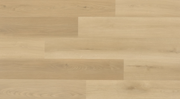 Lamett | DOURO | DOU 228 IB-622 | Forest