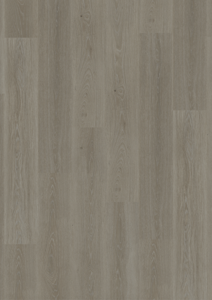 Tarkett | Living 30 | Tribe Oak Grey | 280062008