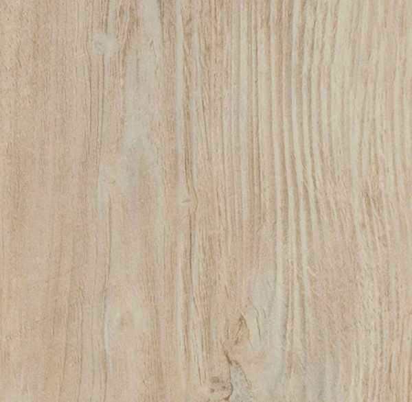 Bleached Rustic Pine