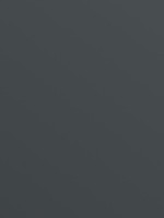 Pewter 4155 Pewter 4155