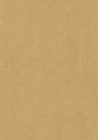 Forbo Marmoleum Modular - Farbe t3768 linsees Forbo Marmoleum Modular - Farbe t3768 linsees