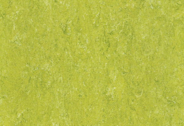DLW Flooring 0130 Antique Green 