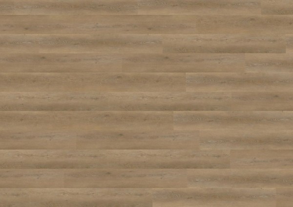 wineo 800 wood XL - DB837WXL Palermo Oak Brown