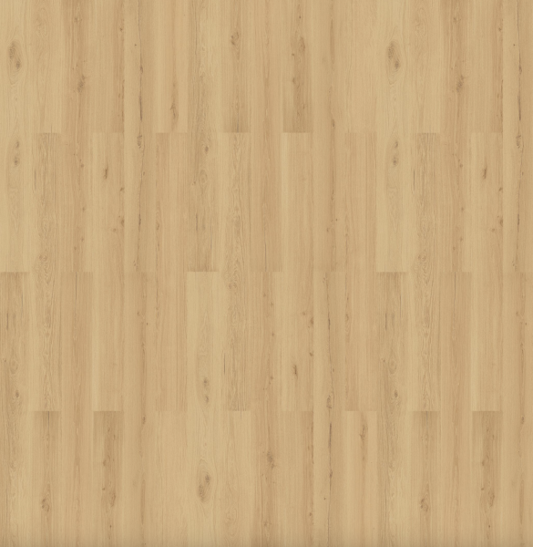 Wicanders | wood natural XL | Napa Oak | 80004804