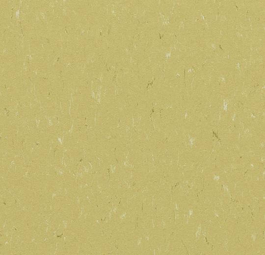 Forbo Marmoleum Piano - 3634 meadow Linoleum UNI Bahnenware 2,5 mm