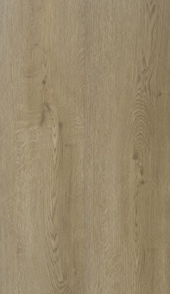 COREtec® Munster Oak 53