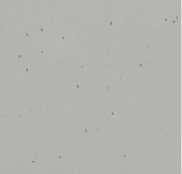 Forbo Sphera Energetic - Bahnenware - 50202 concrete Forbo Sphera Energetic - Bahnenware - 50202 concrete