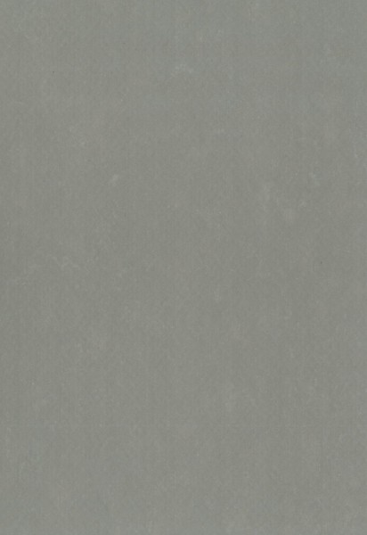 Gerflor DLW Lino Art Urban - 0568 Asphalt Grey