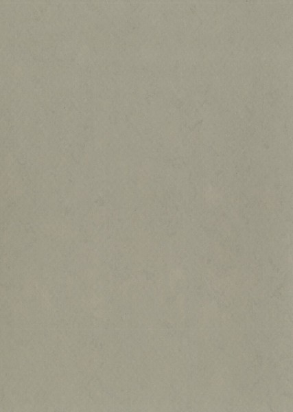 Gerflor DLW Lino Art Urban - 0569 Curb Grey