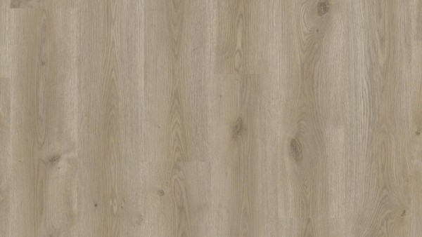 Tarkett ID CLASSICS 30 - Contemporary Oak Grege - Art. 261001001