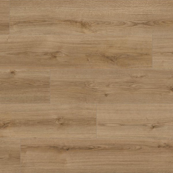 Kaindl NATURAL TOUCH 8.0 Standarddiele Eiche | Oak EVOKE TREND K4421 RI