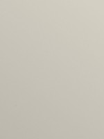 Mushroom 4176 Mushroom 4176