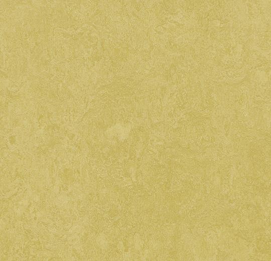 Forbo Marmoleum FRESCO - 3259 mustard Linoleum Bahnenware 2,5 mm