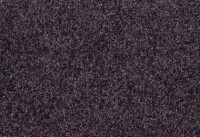 Teppichboden Fletco Zenith - 371650 Auslegware Teppichboden Fletco Zenith - 371650 Auslegware