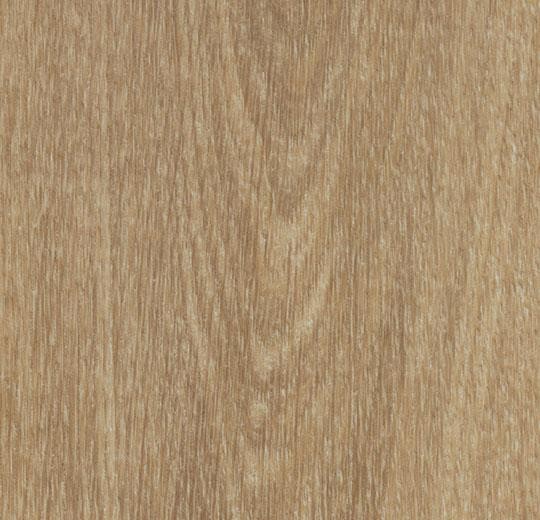 Forbo Allura Click 0,55 mm 60284CL5 natural giant oak wood Designplanken
