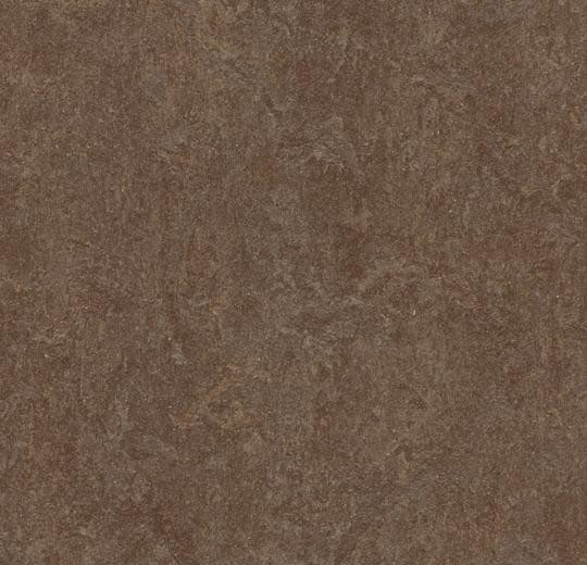 Forbo Marmoleum FRESCO - 3874 walnut Linoleum Bahnenware 2,5 mm