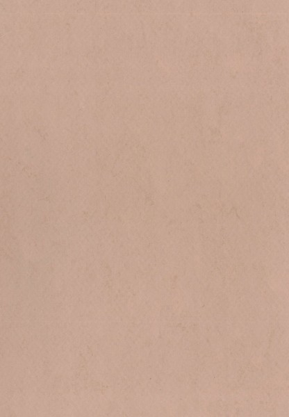 Gerflor DLW Lino Art Urban - 0575 Powder Stone Brown