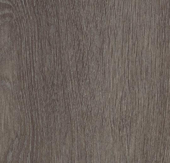 Forbo Allura Dryback Wood 0,7 mm - 60375 grey collage oak