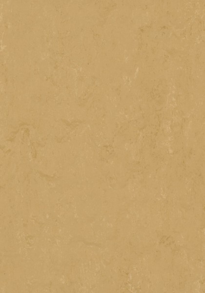 Forbo Marmoleum Modular - Farbe t3768 linsees