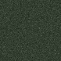 Bonsai 1230 Bonsai 1230