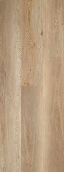 BerryAlloc - Spirit XL Gluedown 55 Planks - Kings Canyon | 60001450