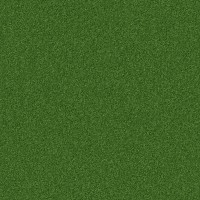 Botanique 1238 Botanique 1238