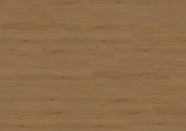 wineo 800 wood XL - DB838WXL Dublin Oak Brown