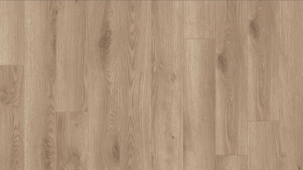 Tarkett Contemporary Oak Natural