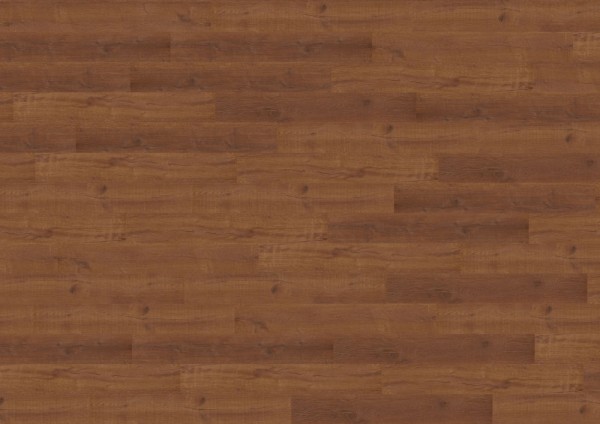 wineo 800 wood L - DB822WL Clifton Oak Brown