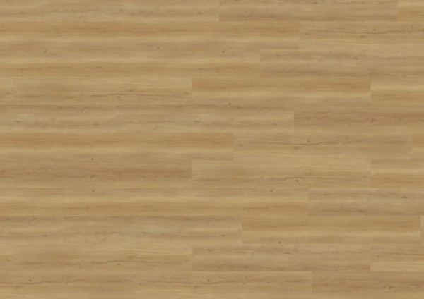 wineo 800 wood XL - DB835WXL Bradford Oak Honey