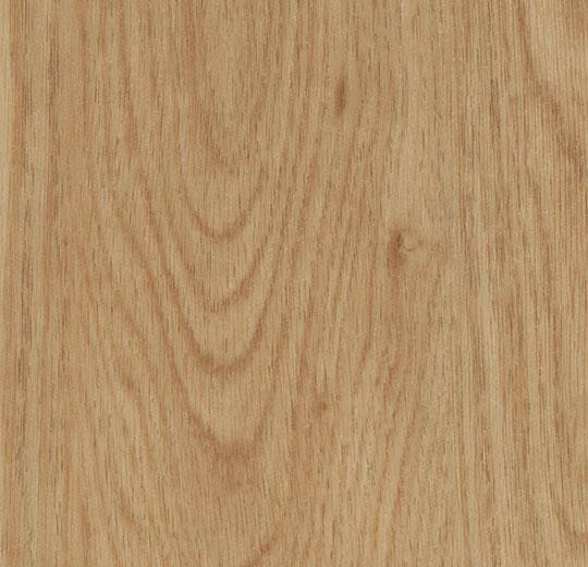 Forbo Allura Dryback Wood 0,55 mm - 60065 honey elegant oak
