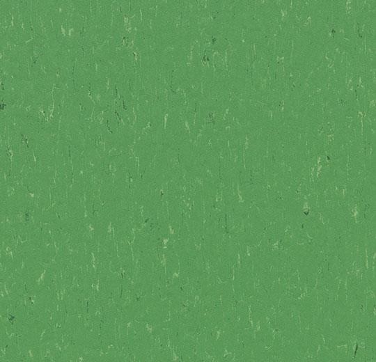 Forbo Marmoleum Piano - 3647 nettle green Linoleum UNI Bahnenware 2,5 mm