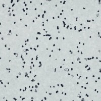 Forbo Sphera EC - Bahnenware - 450007 grey sky Forbo Sphera EC - Bahnenware - 450007 grey sky