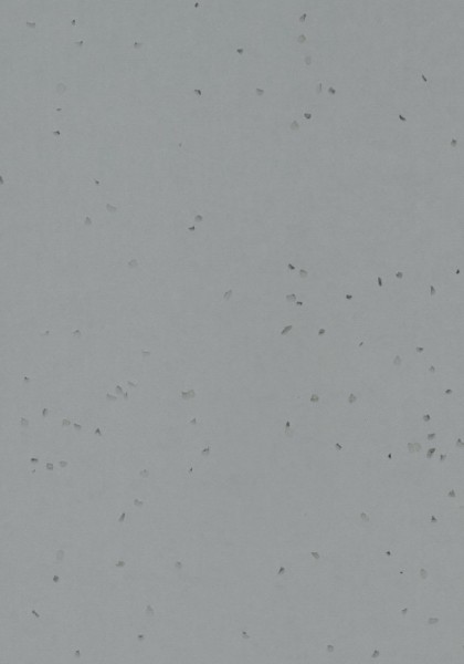 Forbo Sphera Energetic - 50251 pigeon