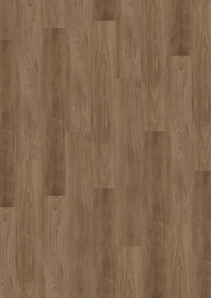 Expona Commercial - Farbe 4212 Country Ash