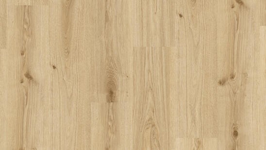 Primary Oak Light Brown