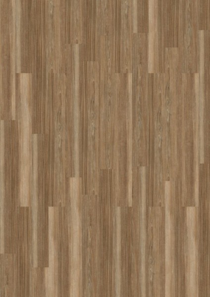 Expona Commercial - Farbe 4022 Honey Ash