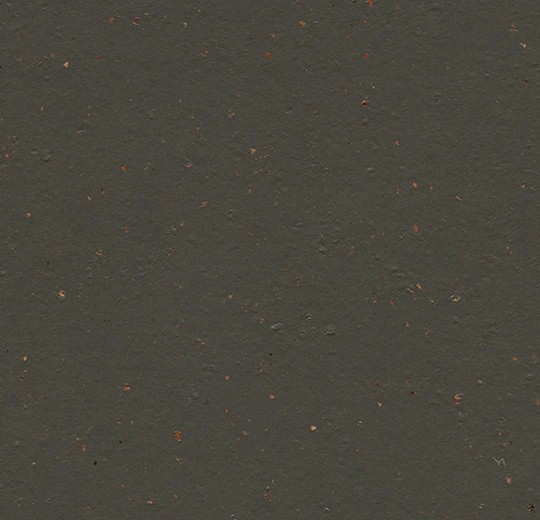 Forbo Marmoleum Cocoa - 3591 black tea Linoleum UNI Bahnenware 2,5 mm