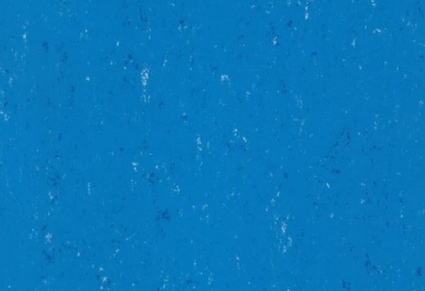 Gerflor DLW COLORETTE NEOCARE™ - 0123 Poppy Blue Linoleum Bahnenware 2,5 mm