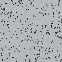 Forbo Sphera EC - Bahnenware - 450008 silver grey Forbo Sphera EC - Bahnenware - 450008 silver grey