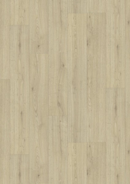 Texline Nature - 2384 Forest Birch