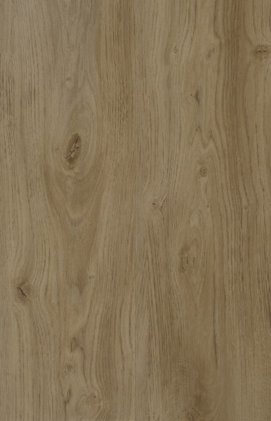 COREtec® Baltimore Oak 54