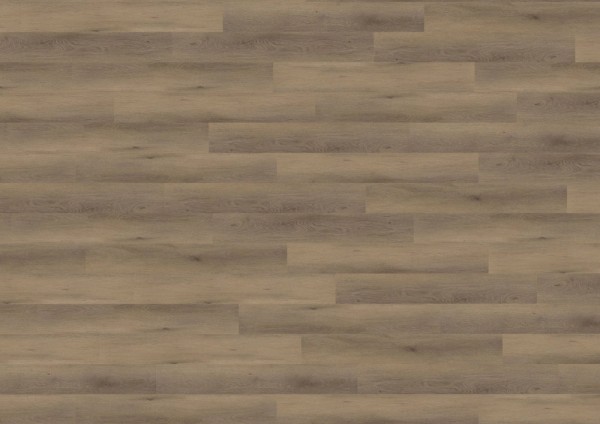 wineo 800 wood L - DB821WL York Oak Brown