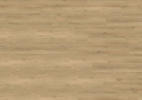 wineo 800 wood XL - MLD833WXL Stavanger Oak Nature